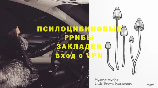 герыч Касимов