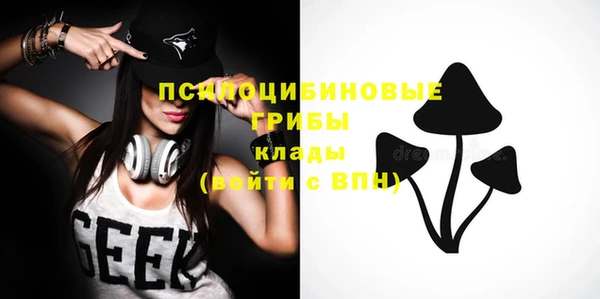 стафф Карталы