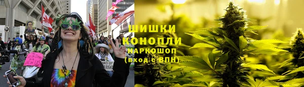 прущая мука Каменка