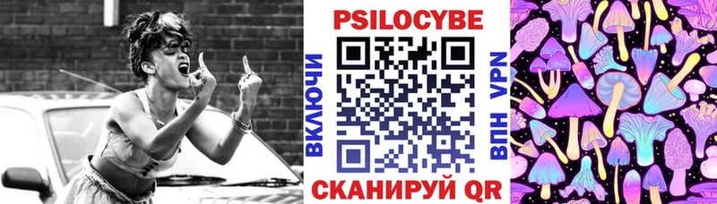 Купить где  Дубовка  Галлюциногенные грибы мицелий 
